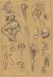 STUDIES 18-big