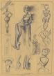 STUDIES 18 C